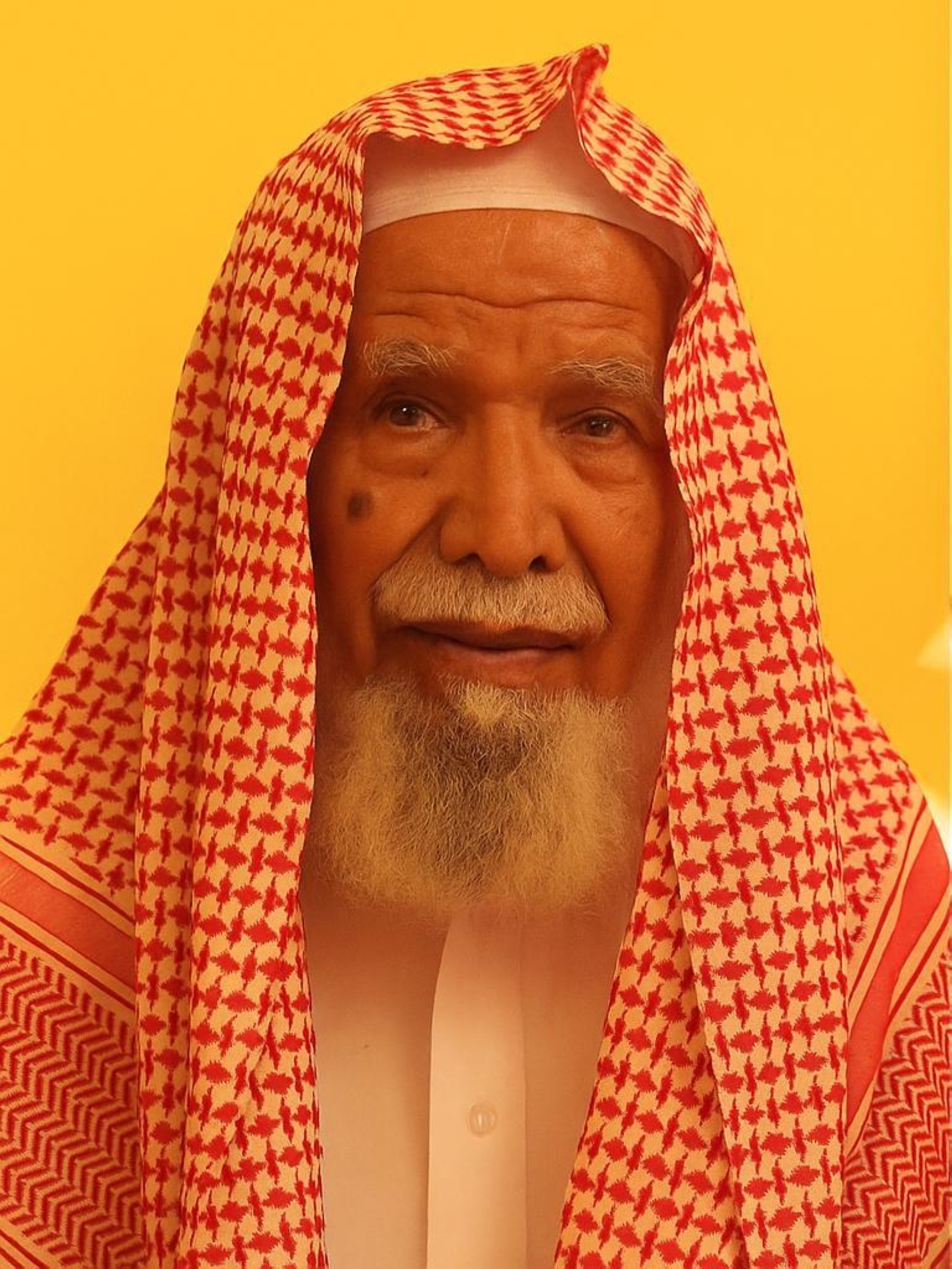 أيمن ذو الغنى ويكيبيديا