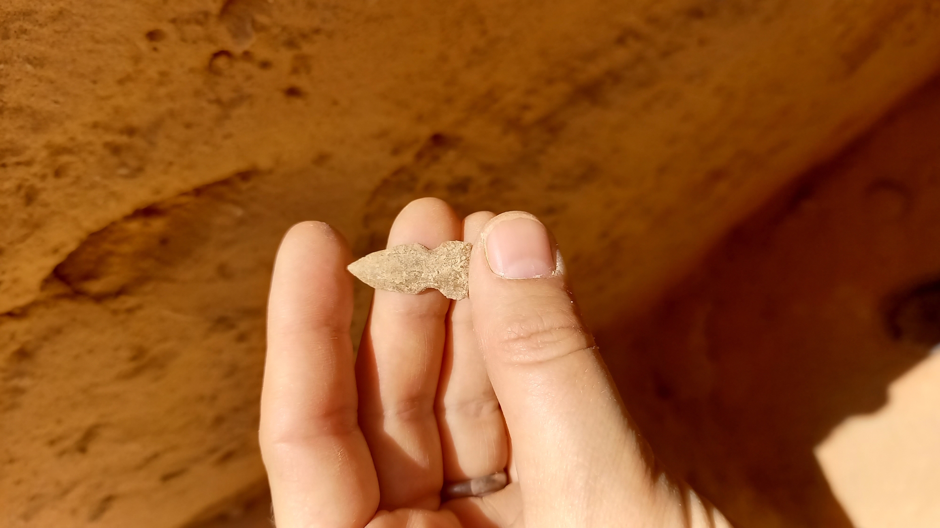 Sahout Rock Art and Archaeology Project