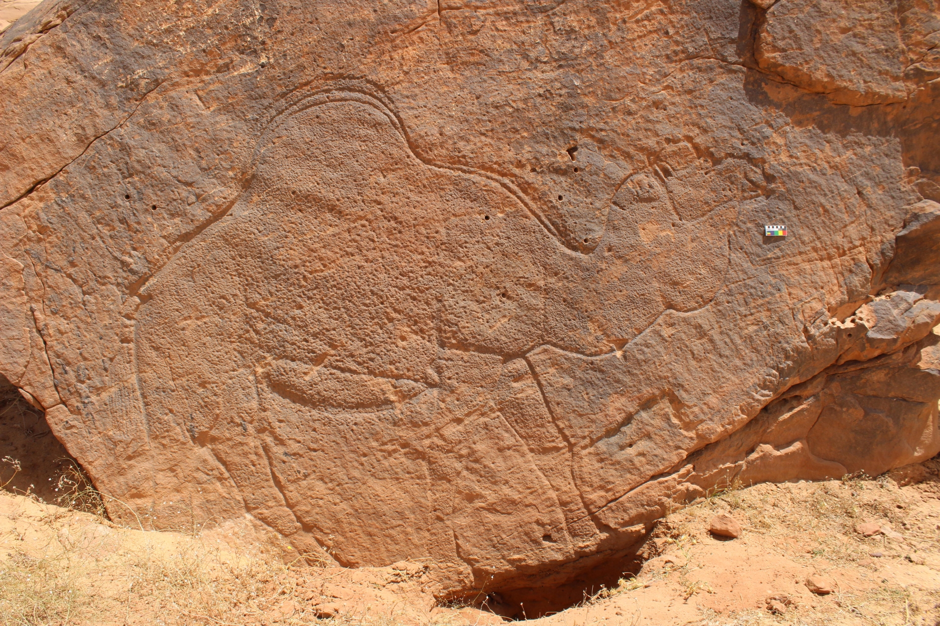 Sahout Rock Art and Archaeology Project