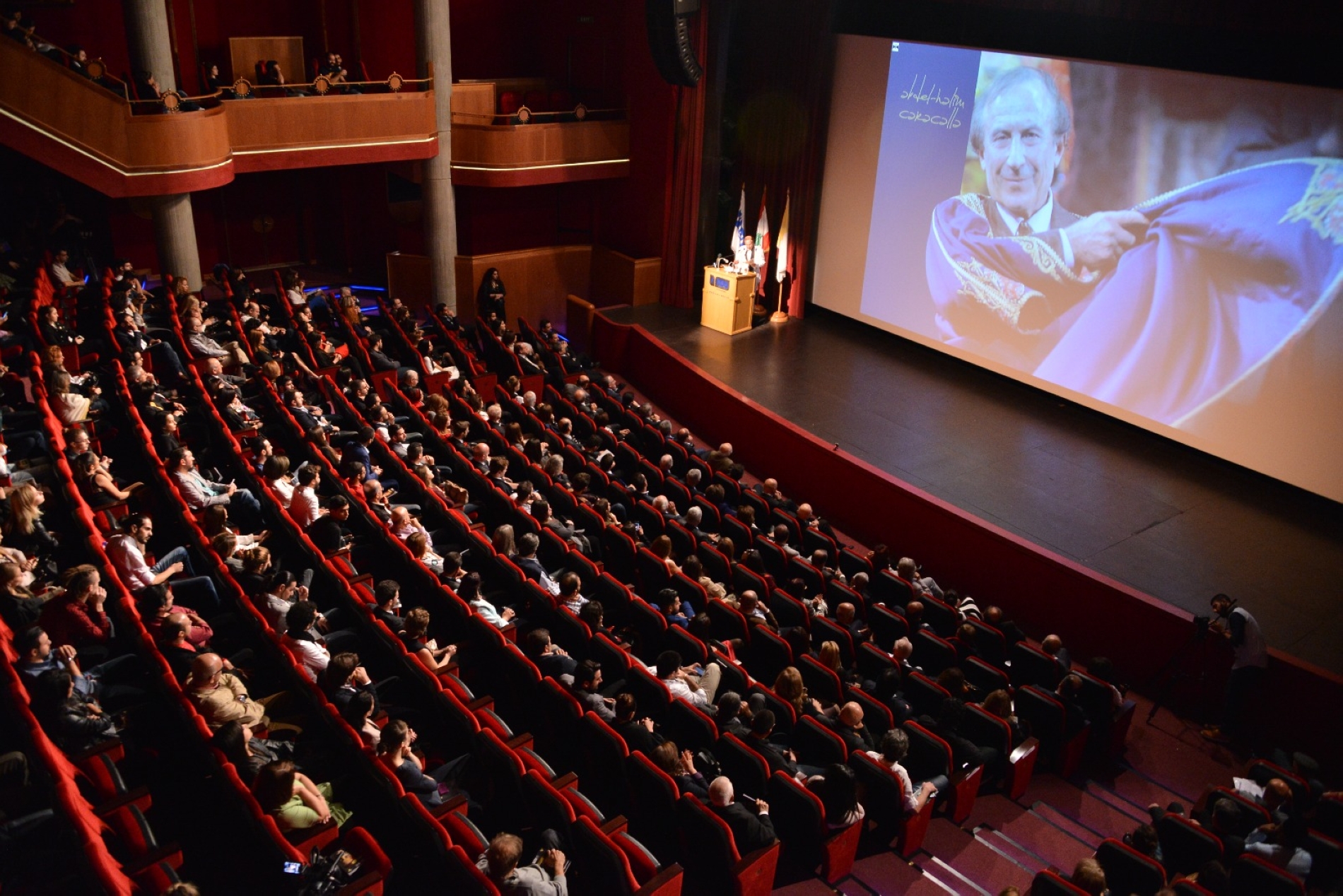 سيدة اللويزة الدولي للأفلام