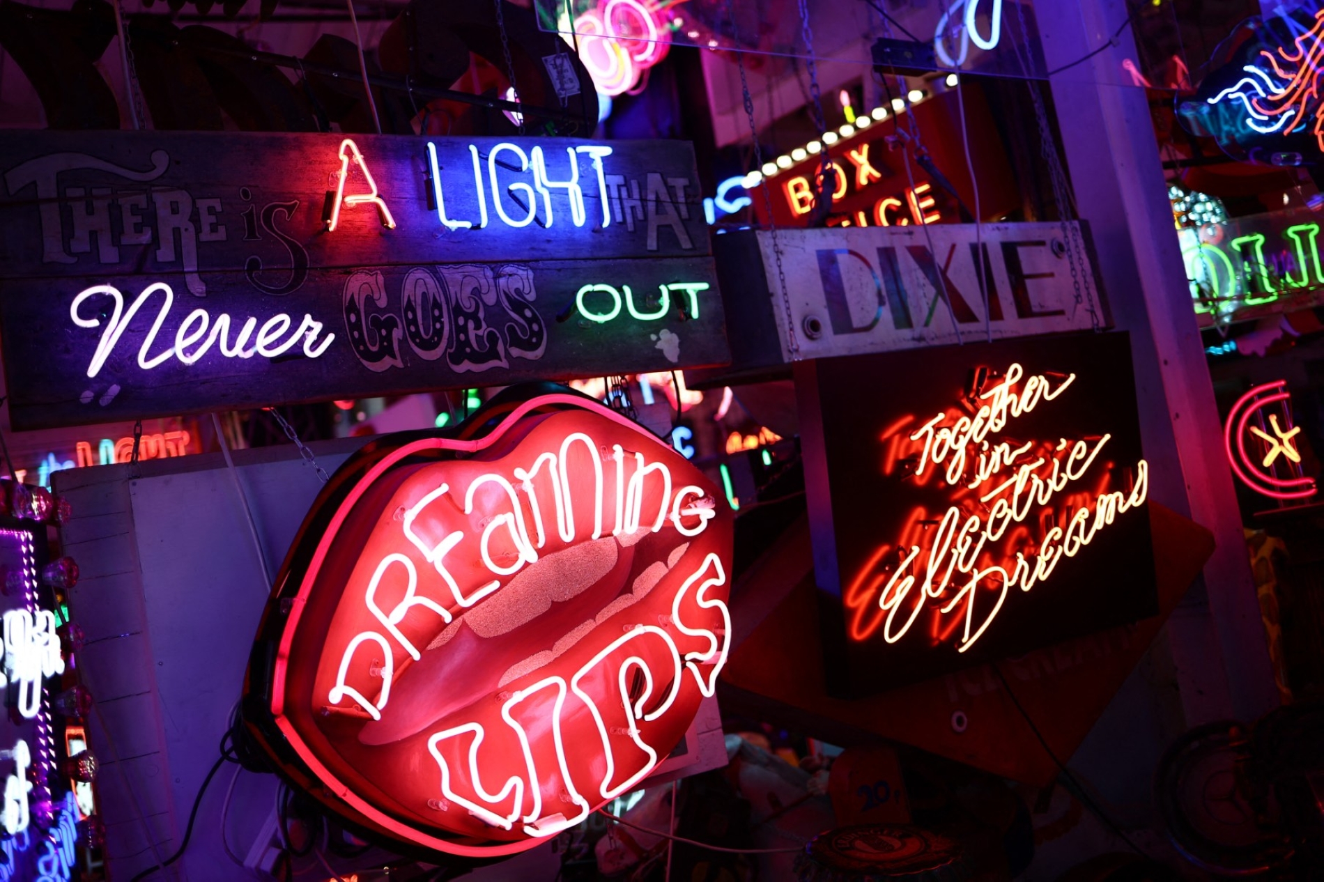 HENRY NICHOLLS / AFP