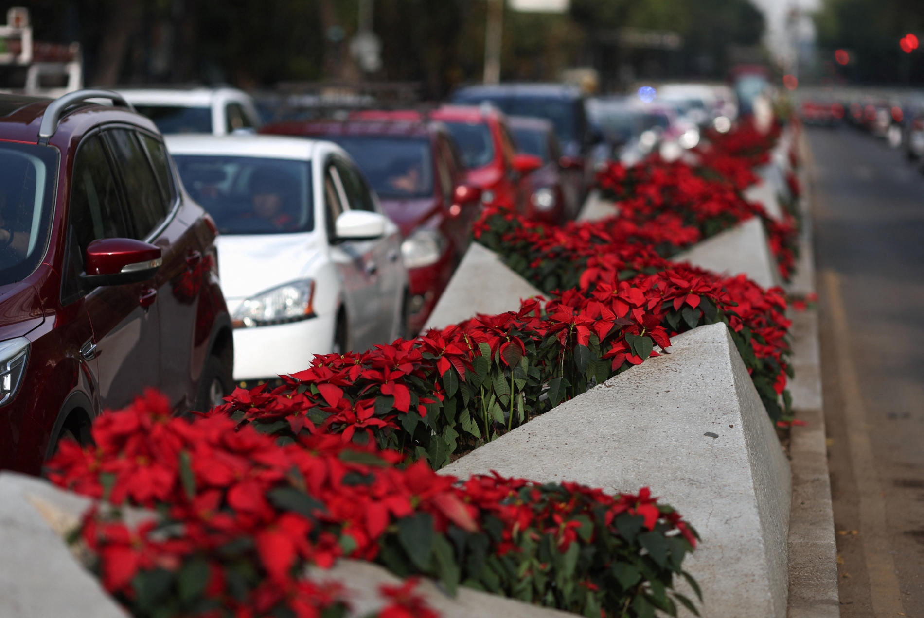 REUTERS/Henry Romero