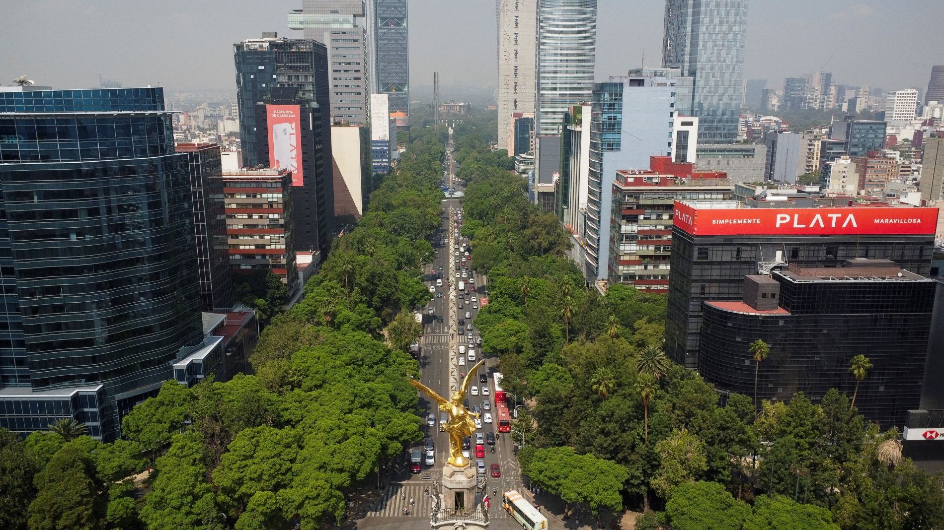 REUTERS/Raquel Cunha