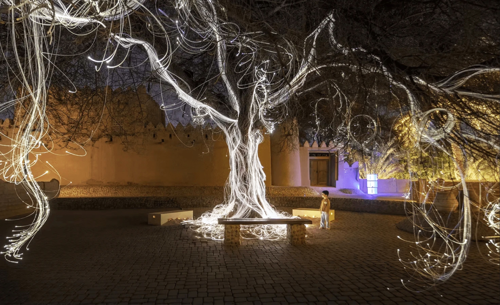 CULTURE AND TOURISM ABU DHABI