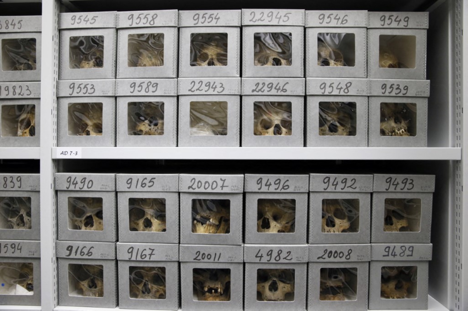 PATRICK KOVARIK / AFP