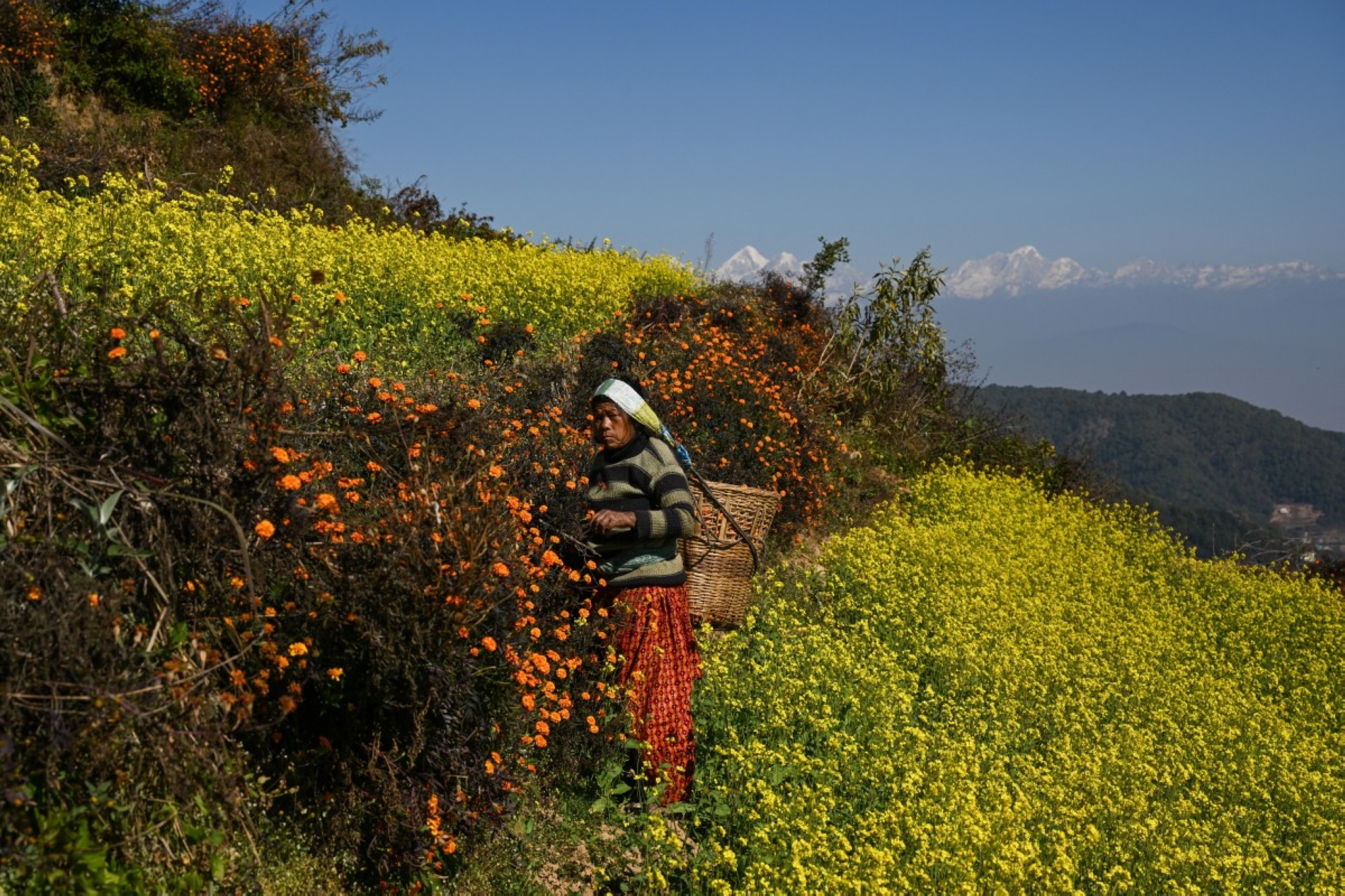 Prakash MATHEMA / AFP