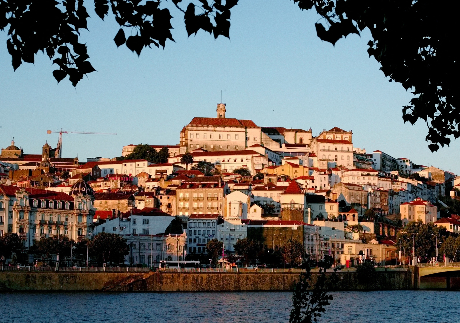 REUTERS/Jose Manuel Ribeiro