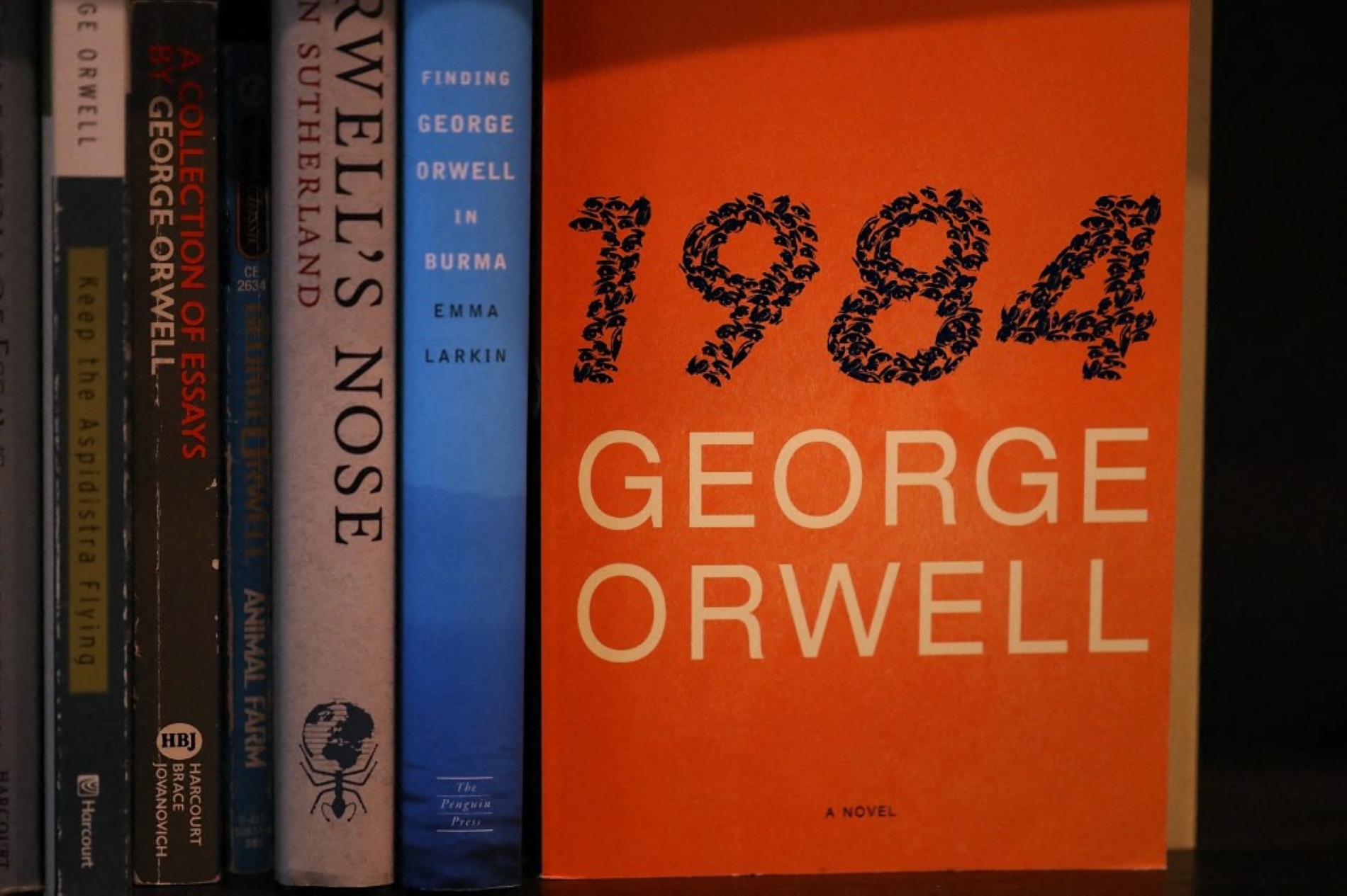 JUSTIN SULLIVAN / GETTY IMAGES NORTH AMERICA / Getty Images via AFP)