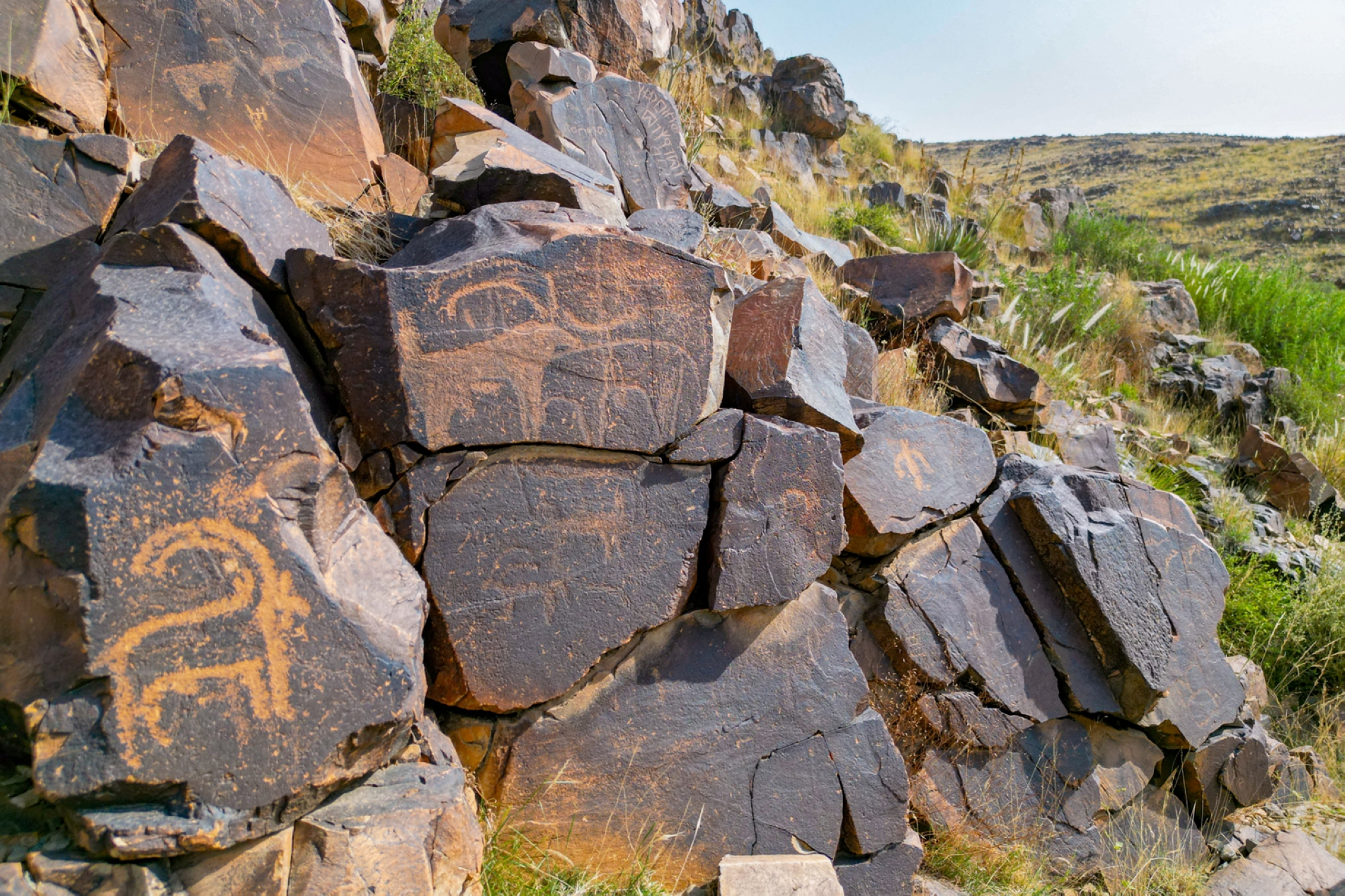 هيئة التراث