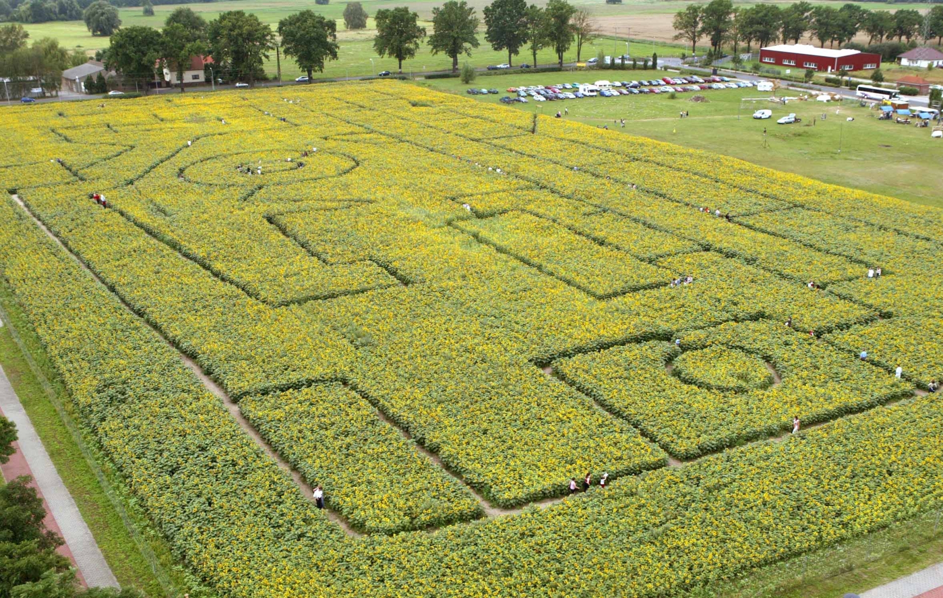 REUTERS/Fabrizio Bensch