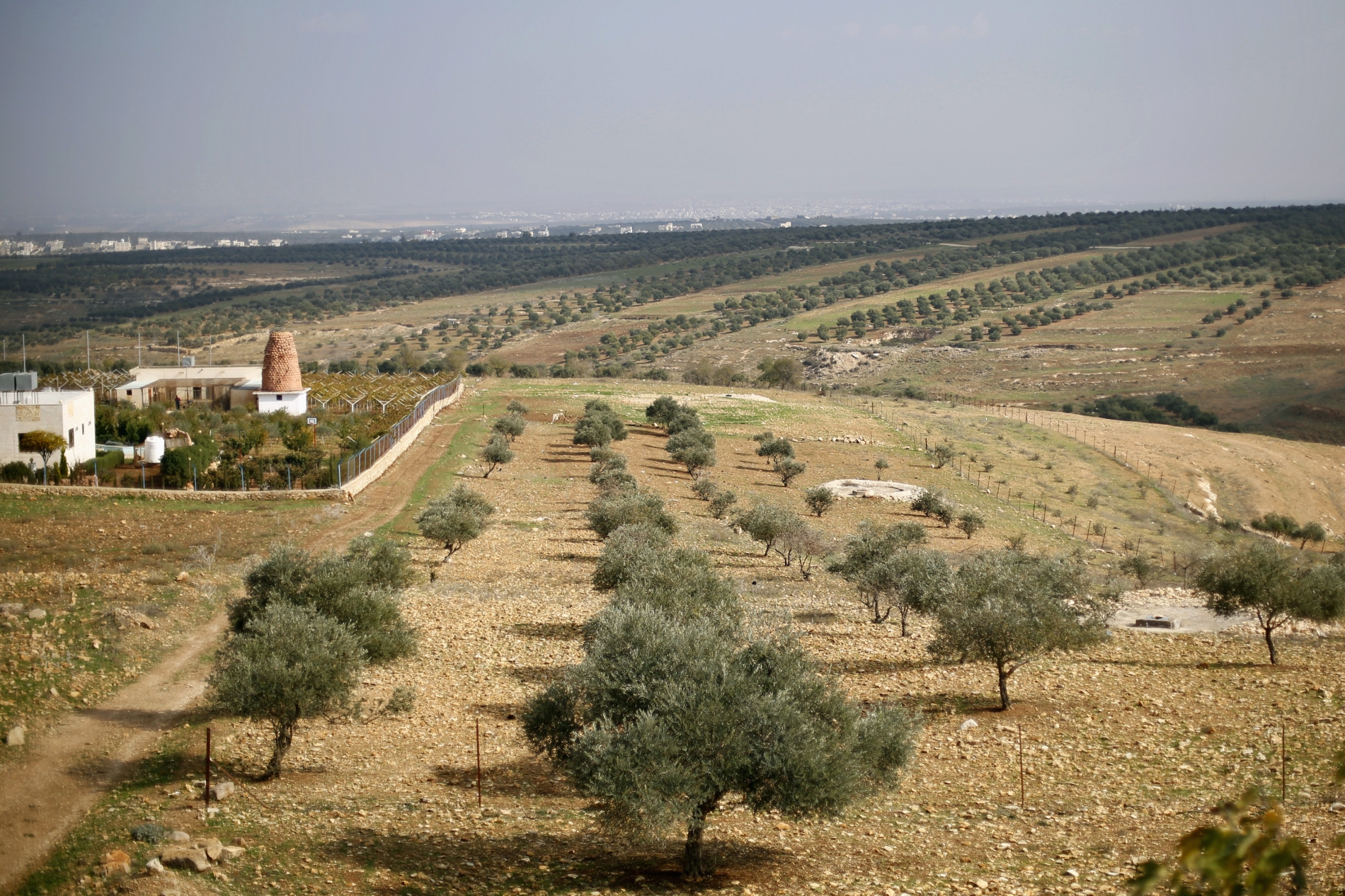 REUTERS/Muhammad Hamed