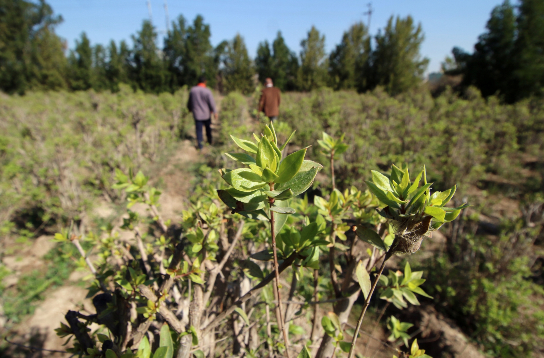 REUTERS/Essam al-Sudani