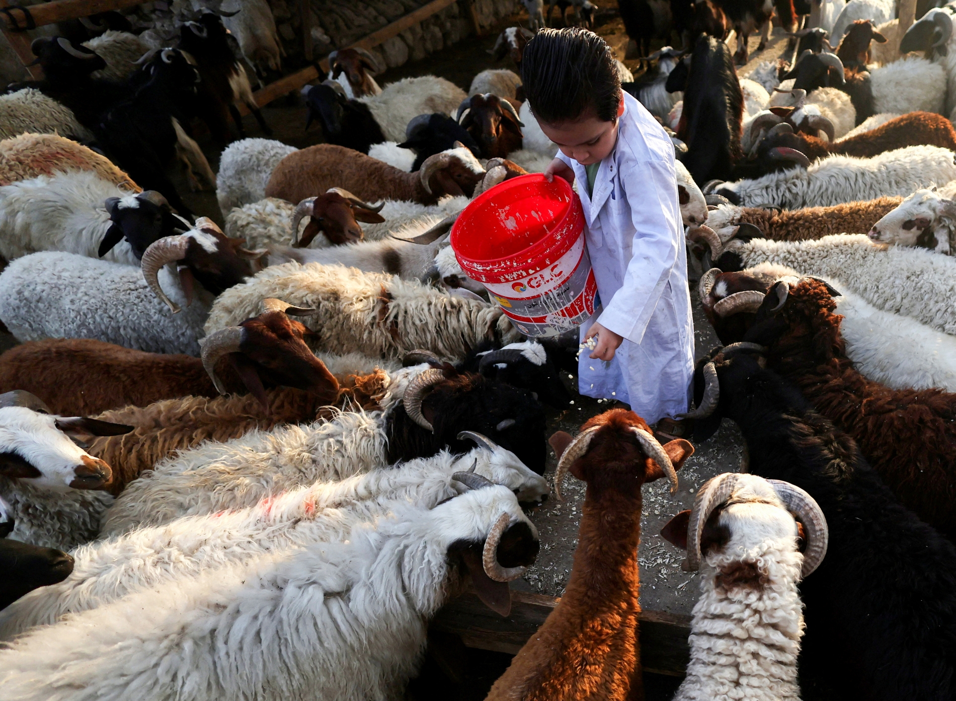 Reuters