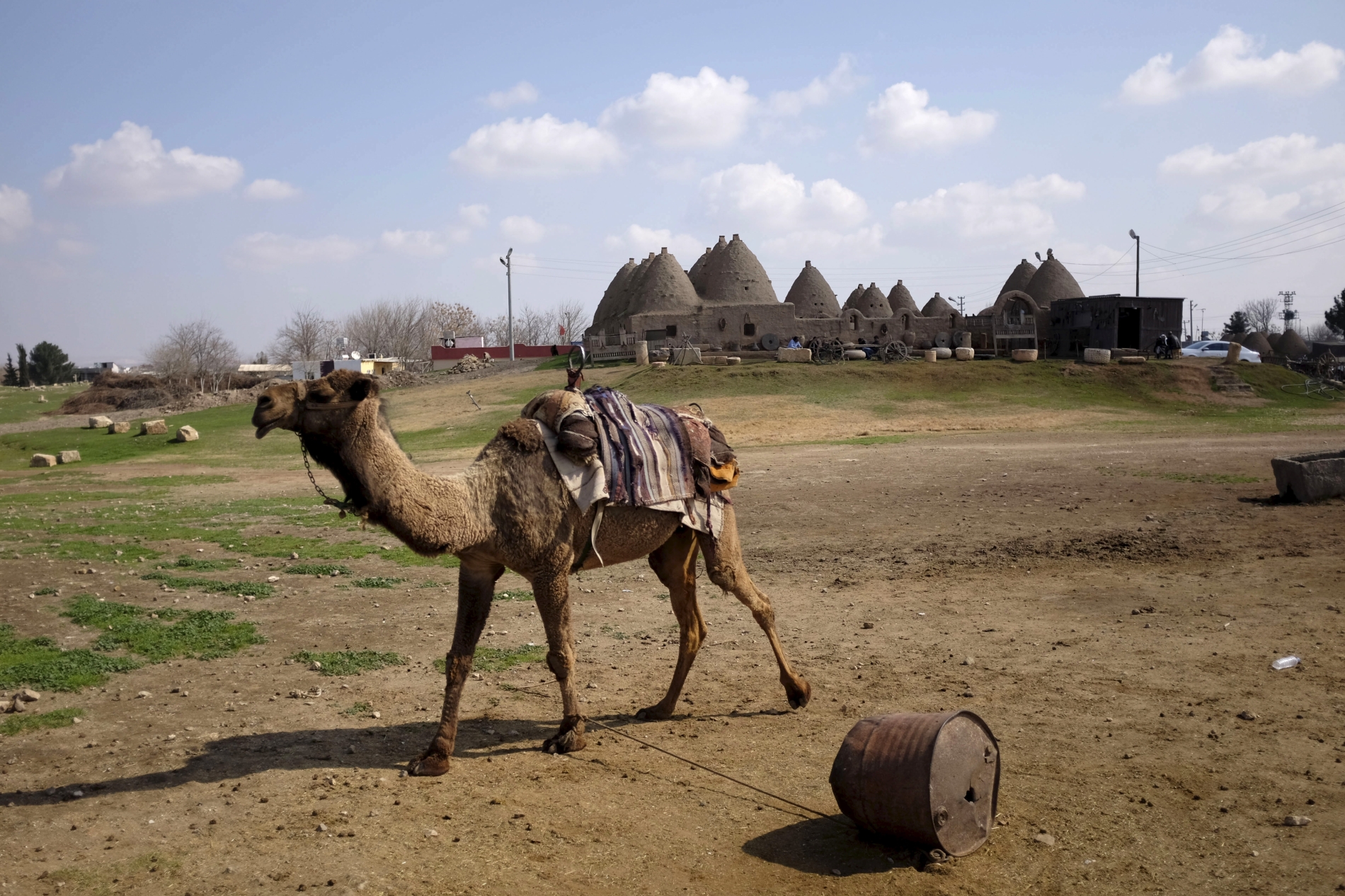 REUTERS/Murad Sezer