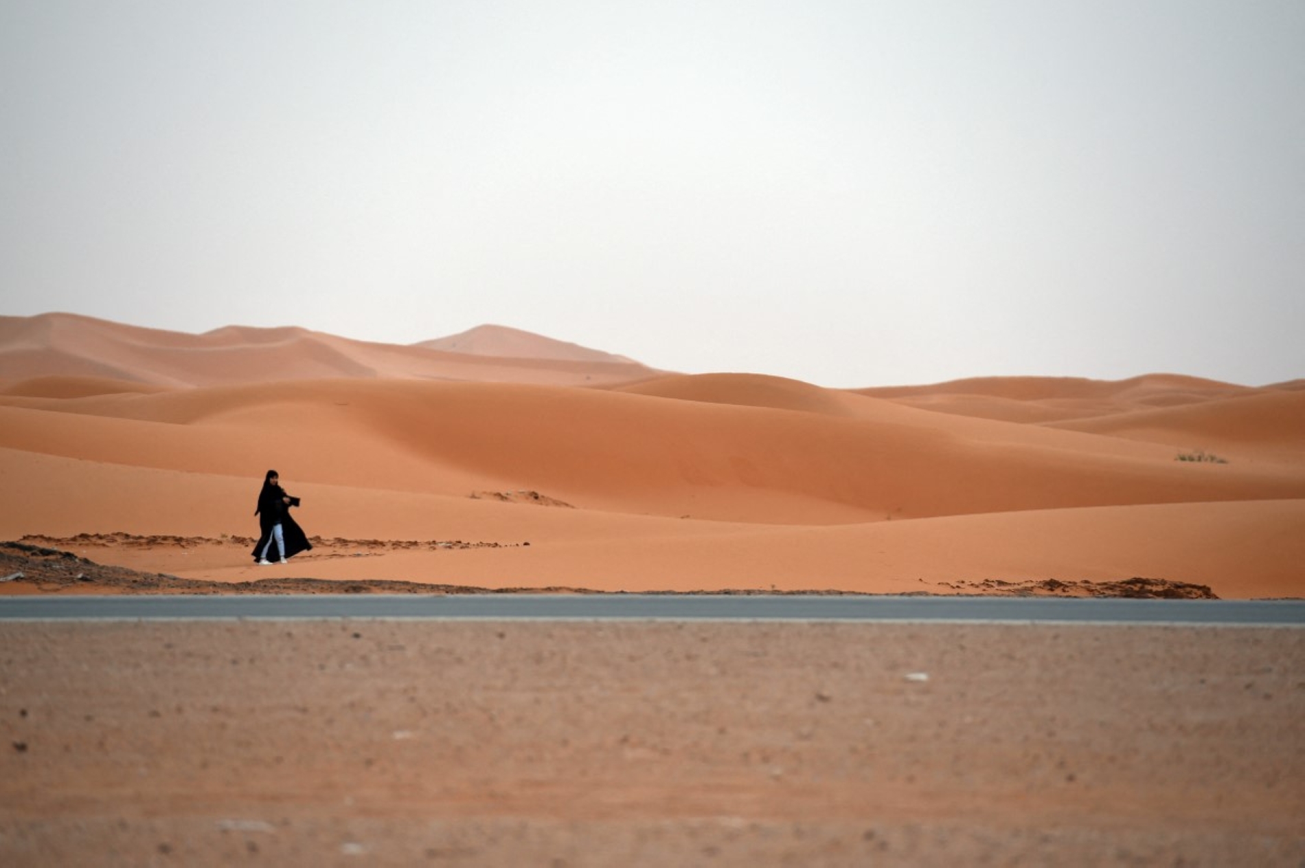 FAYEZ NURELDINE / AFP