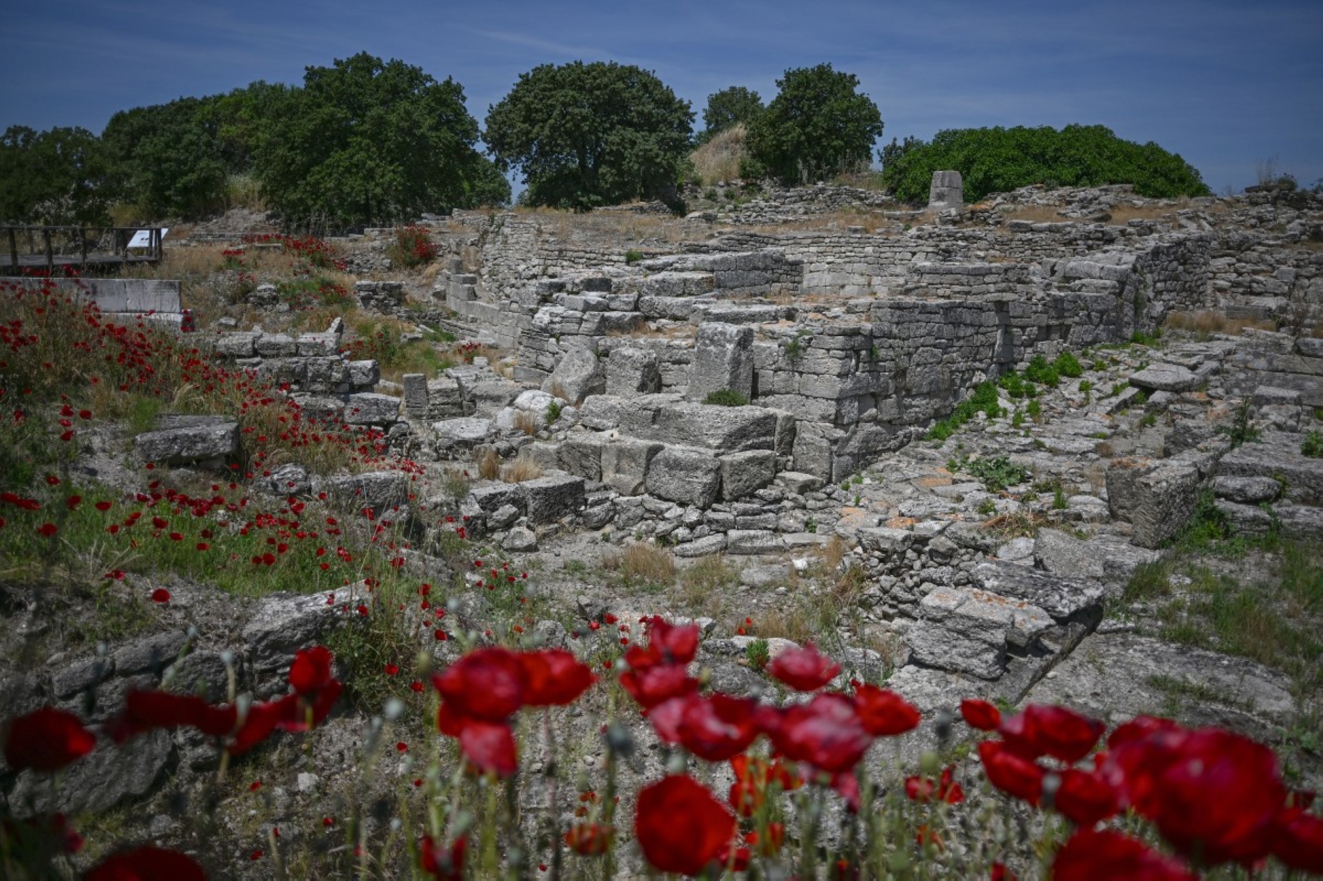 Photo by OZAN KOSE / AFP