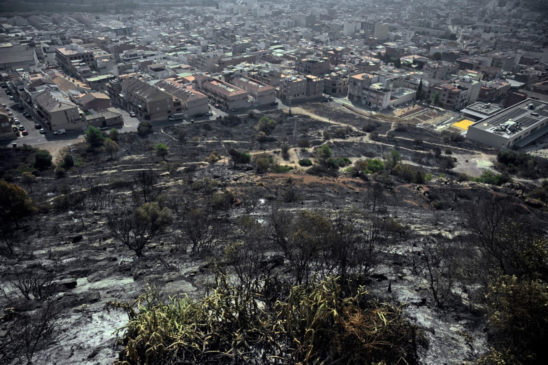  JOSE JORDAN / AFP