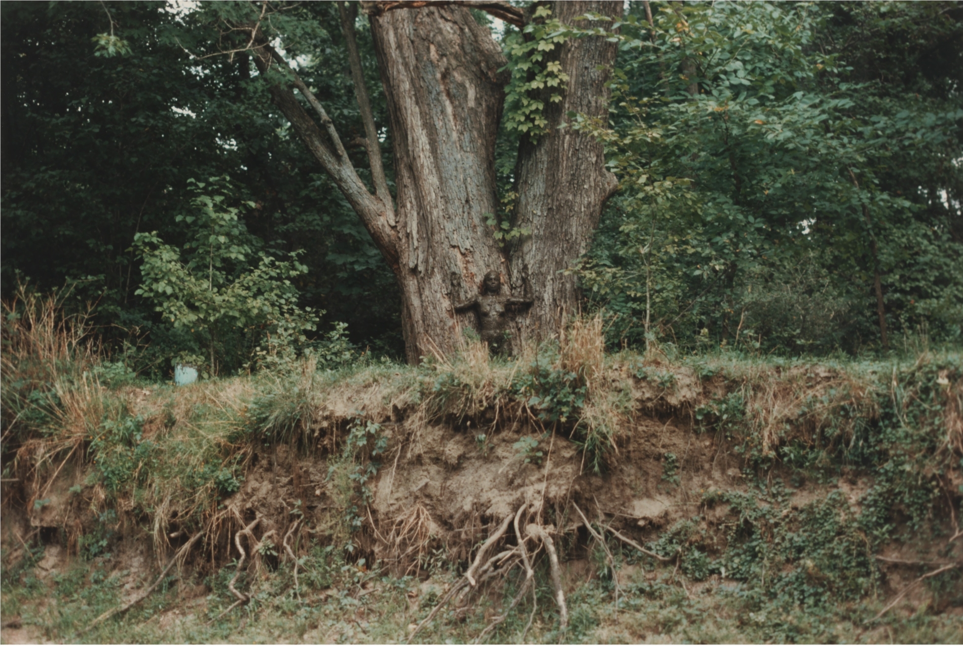 Courtesy Marian Goodman Gallery and Alison Jacques, London