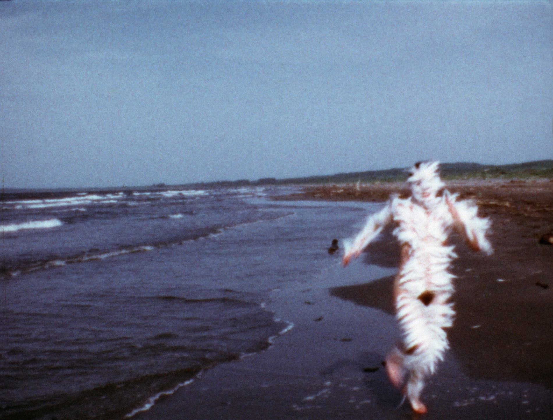 Courtesy Marian Goodman Gallery and Alison Jacques, London
