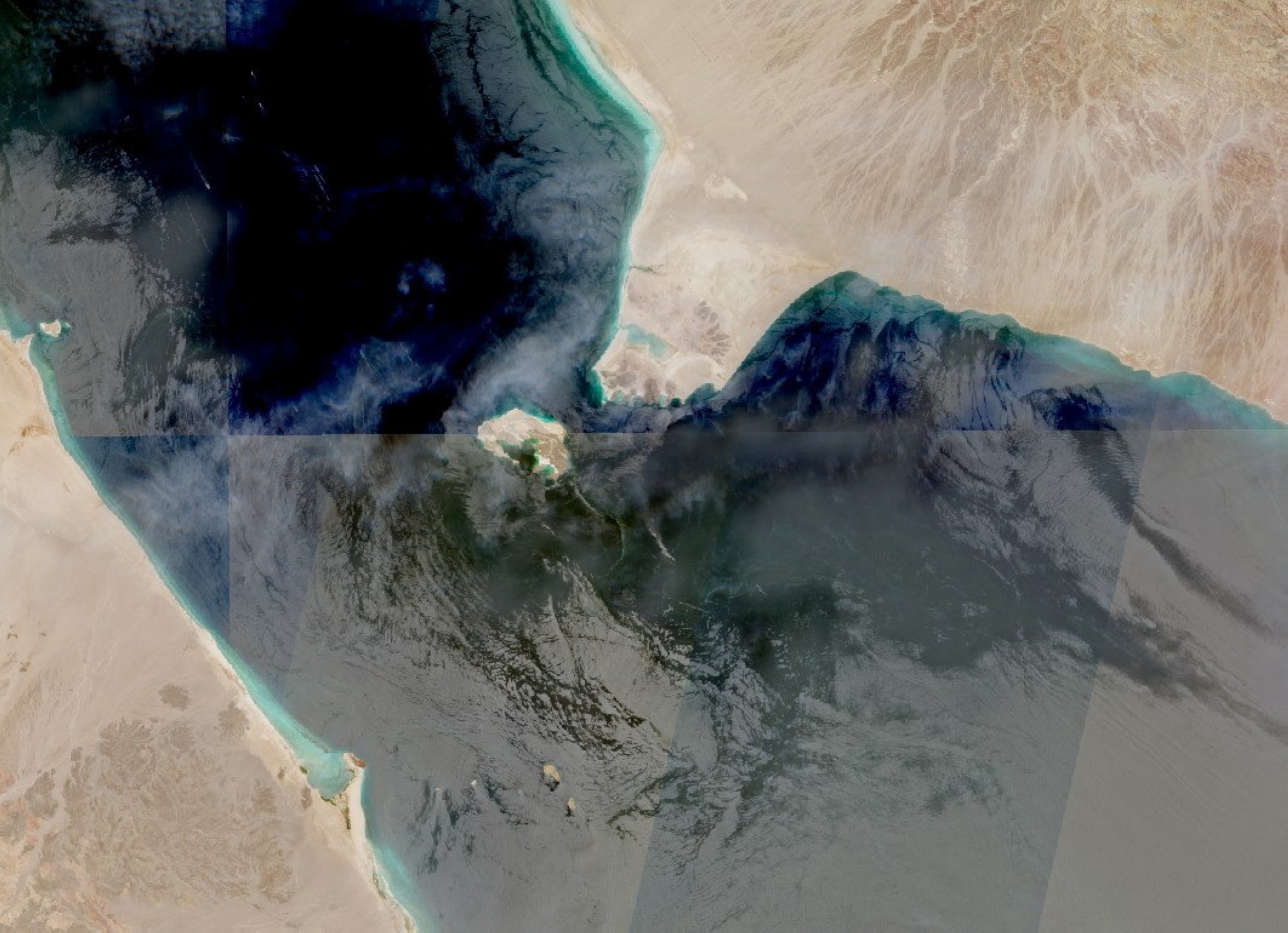 رويترز