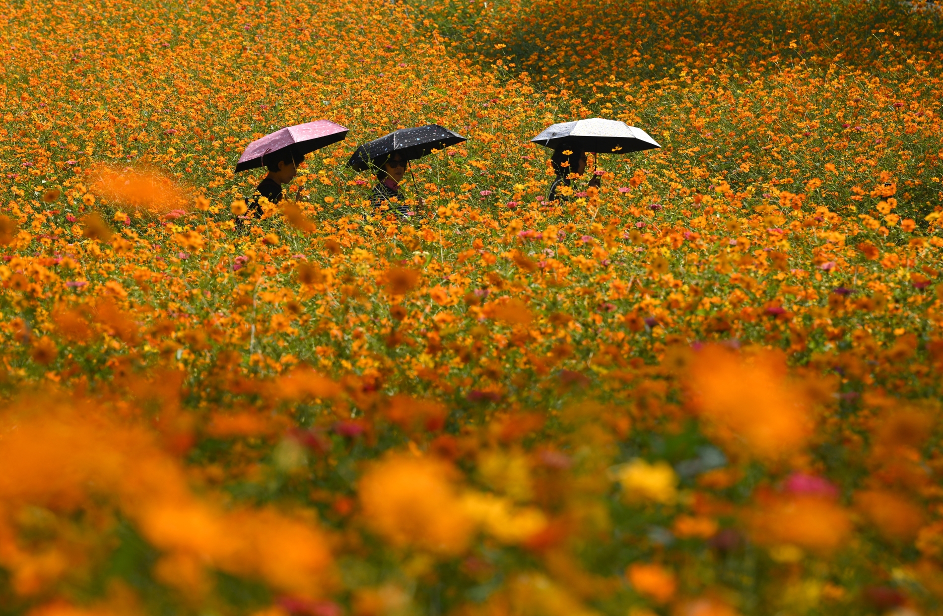 Jung Yeon-je / AFP