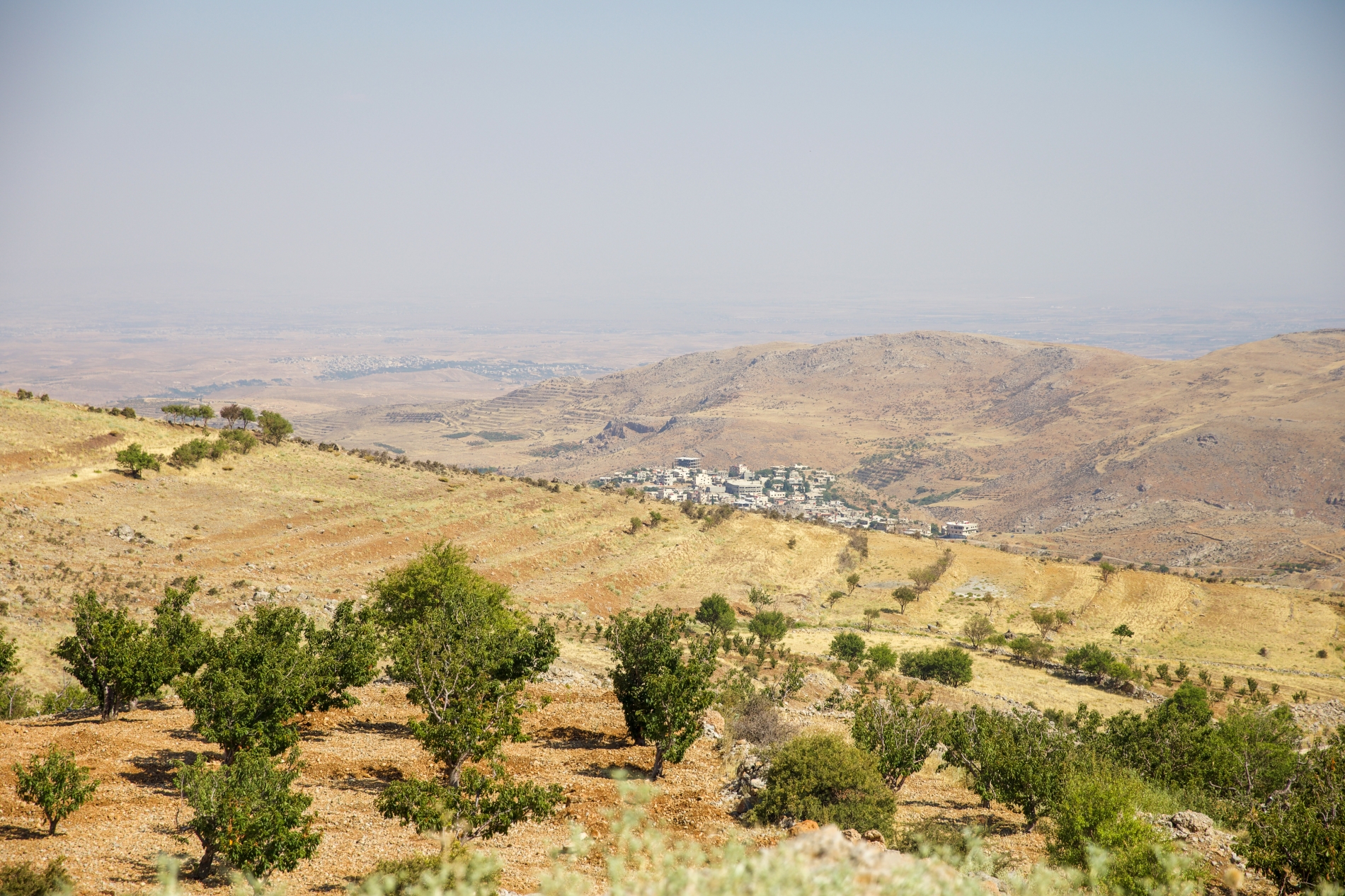 جيزيلا ليغيوس