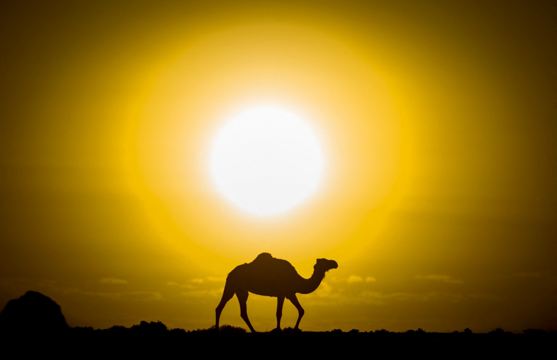 (أ.ف.ب)