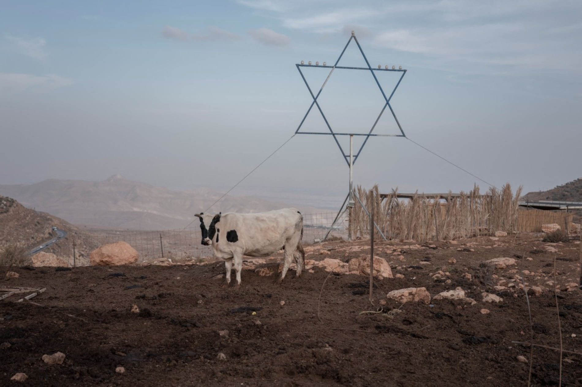 ILIA YEFIMOVICH / AFP