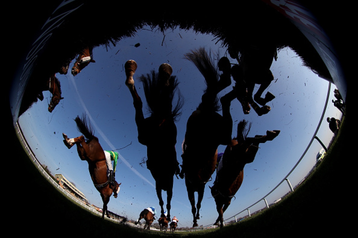 The World in Photos This Week
