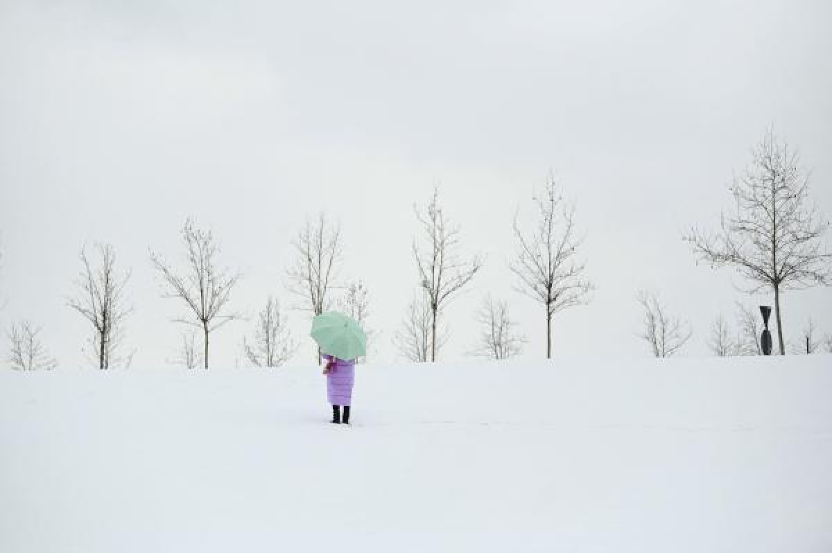 The World In Photos