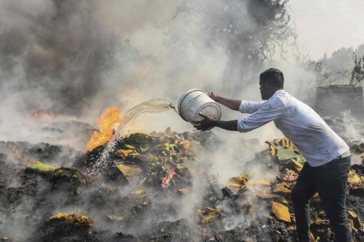 World in Photos