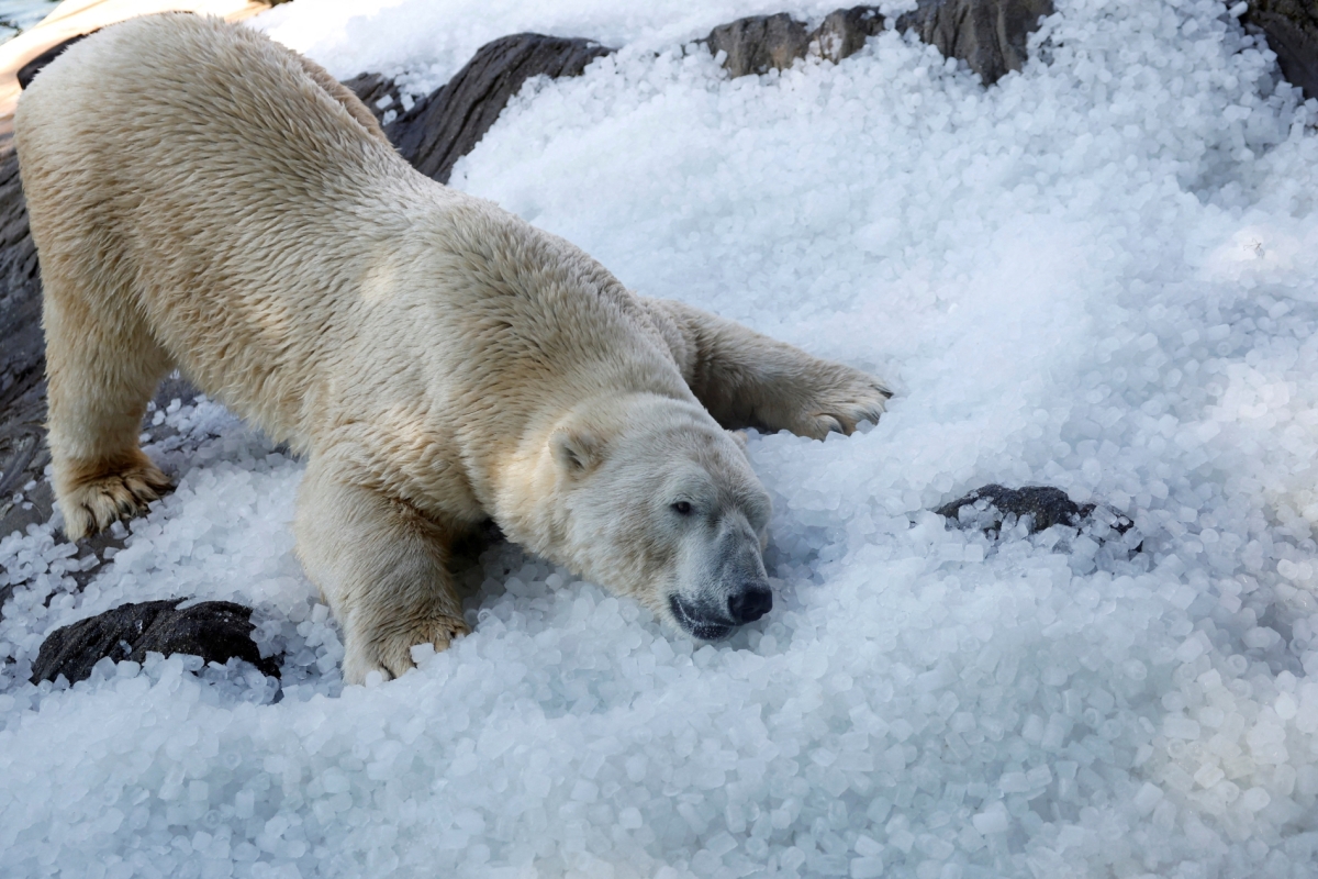 REUTERS/David W Cerny REUTERS/David W Cerny