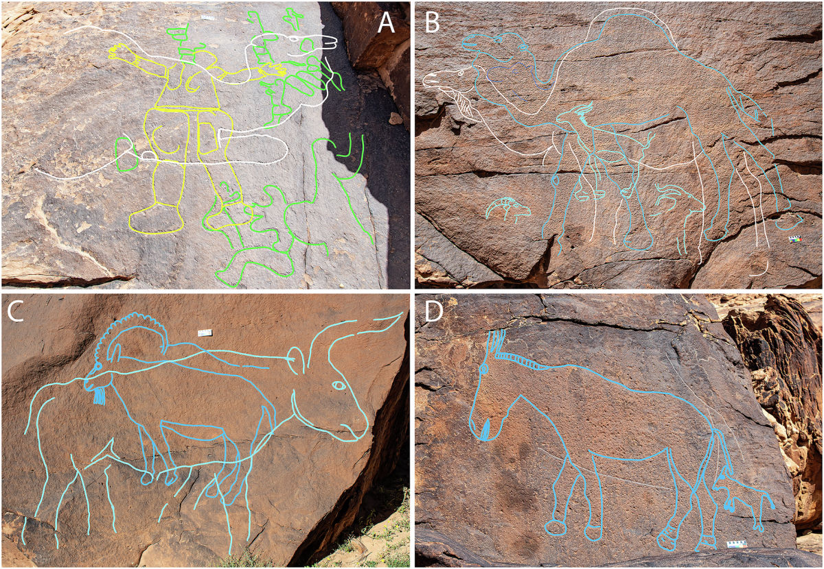 Sahout Rock Art and Archaeology Project