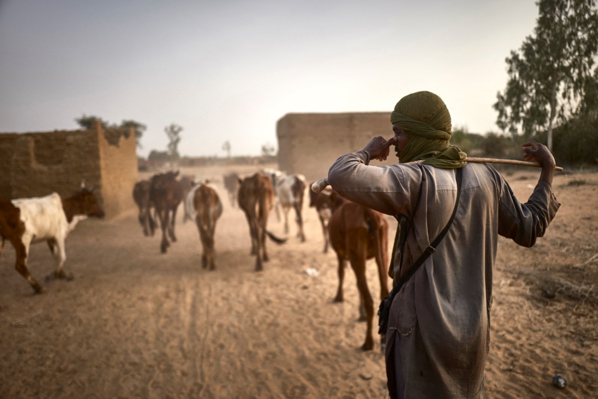 A Fulani herder leads his cattle to graze in the fields between Sevare and Mopti in central Mali on March 18, 2021. 