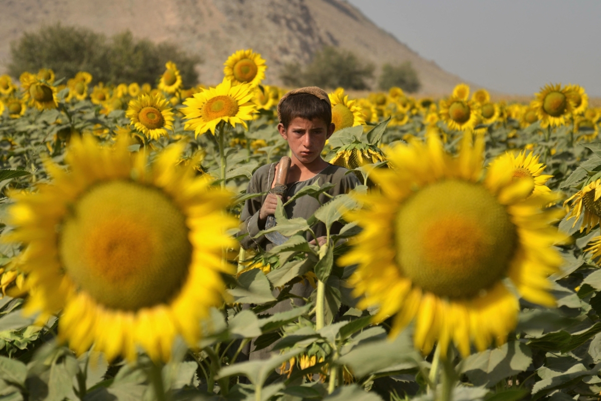 Sanaullah SEIAM / AFP