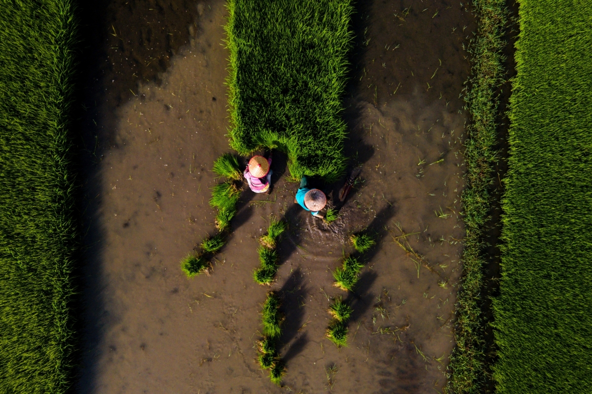 CHAIDEER MAHYUDDIN / AFP