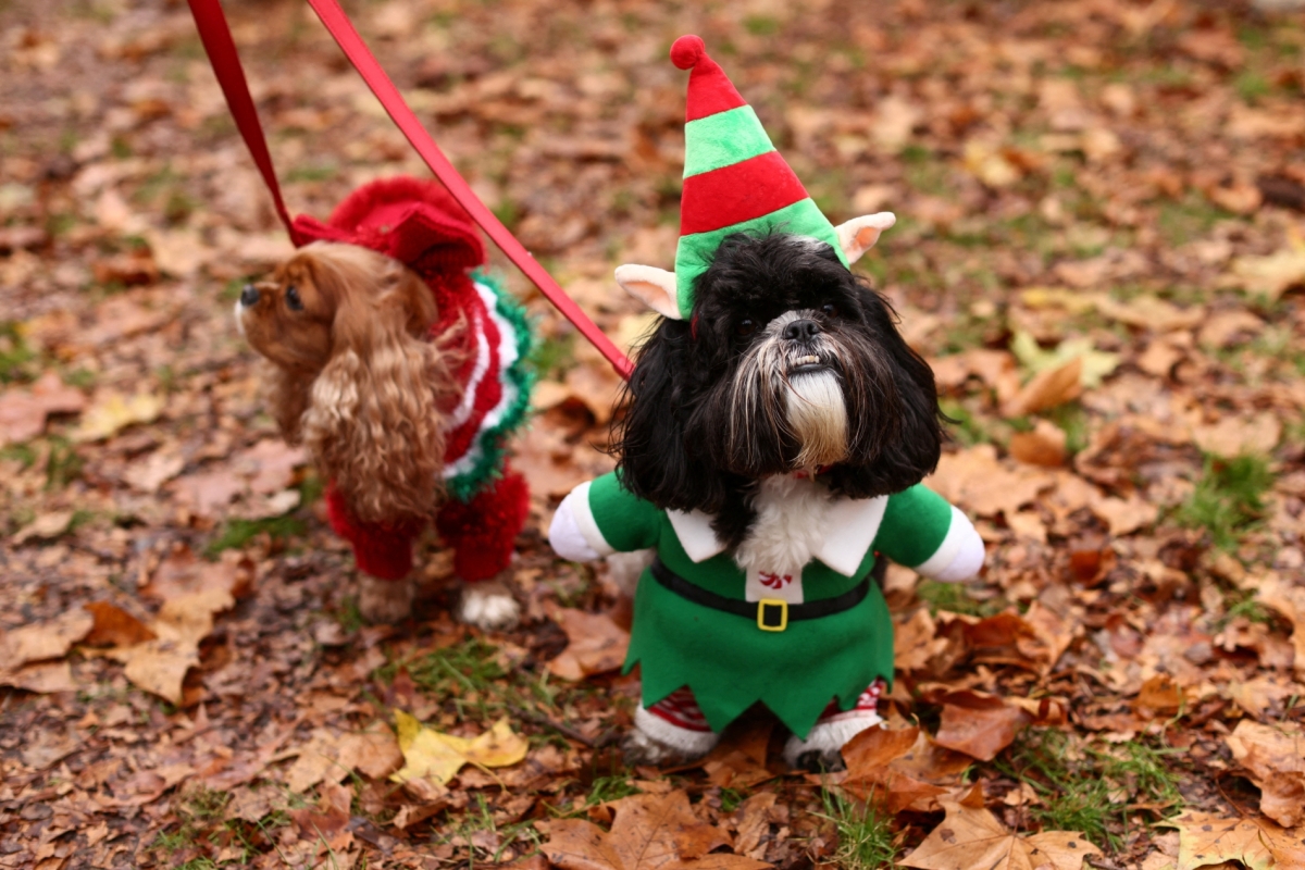 جاك تايلور- رويترز