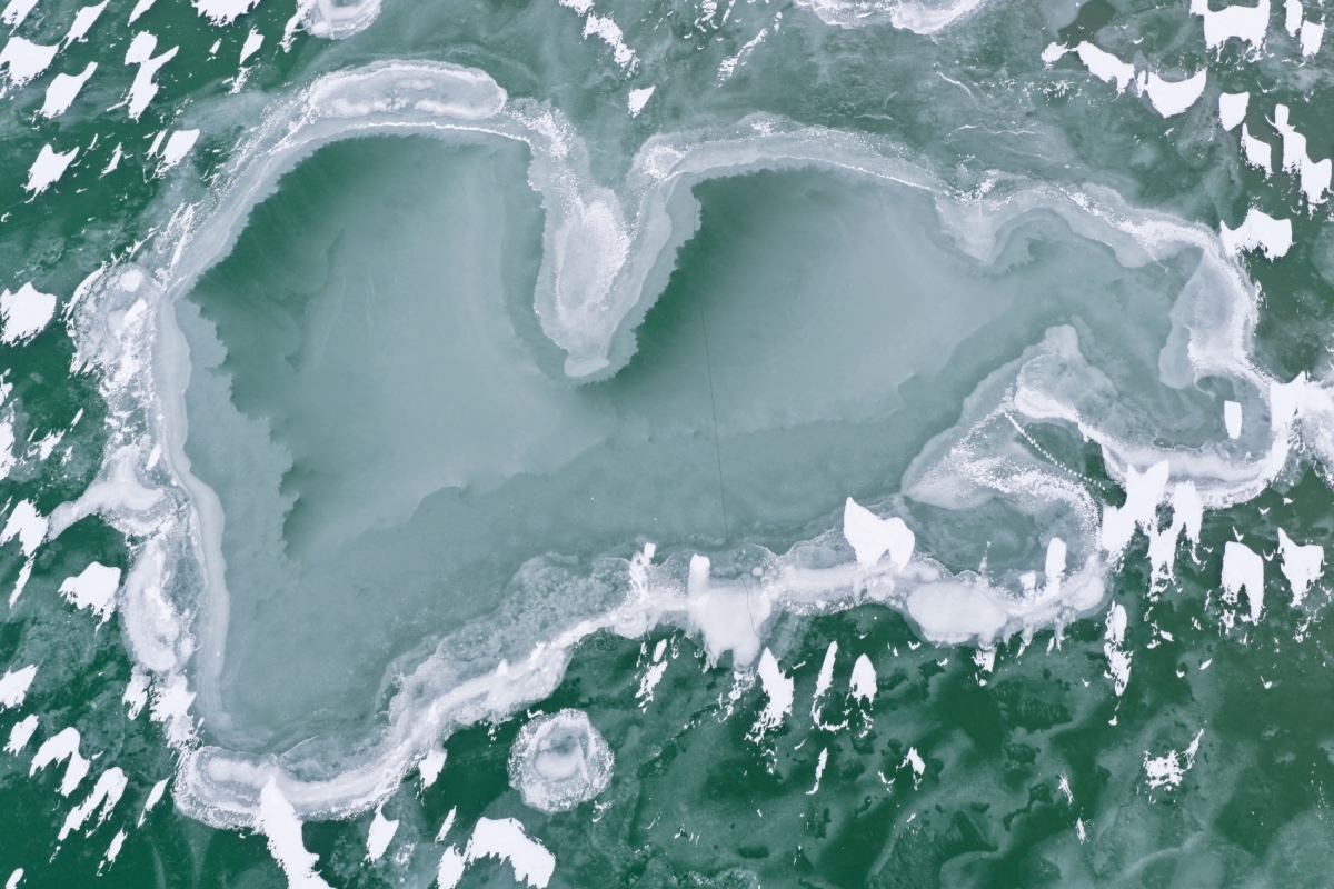 REUTERS/Marton Monus