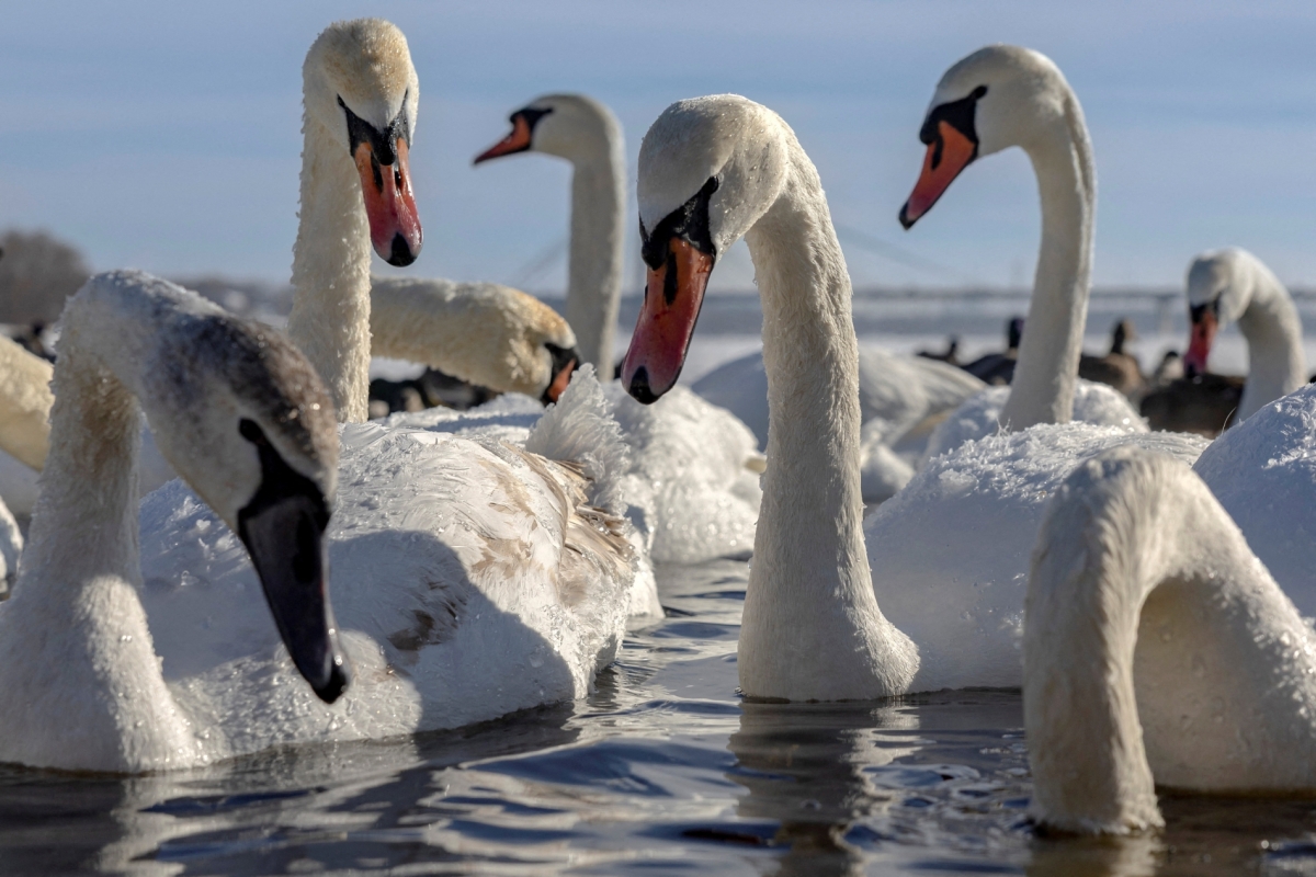 REUTERS/Thomas Peter 