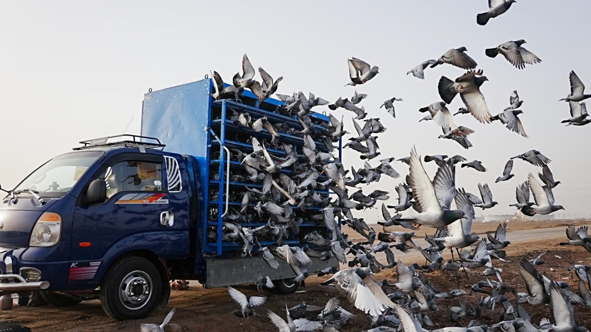 REUTERS/Mohammed Aty