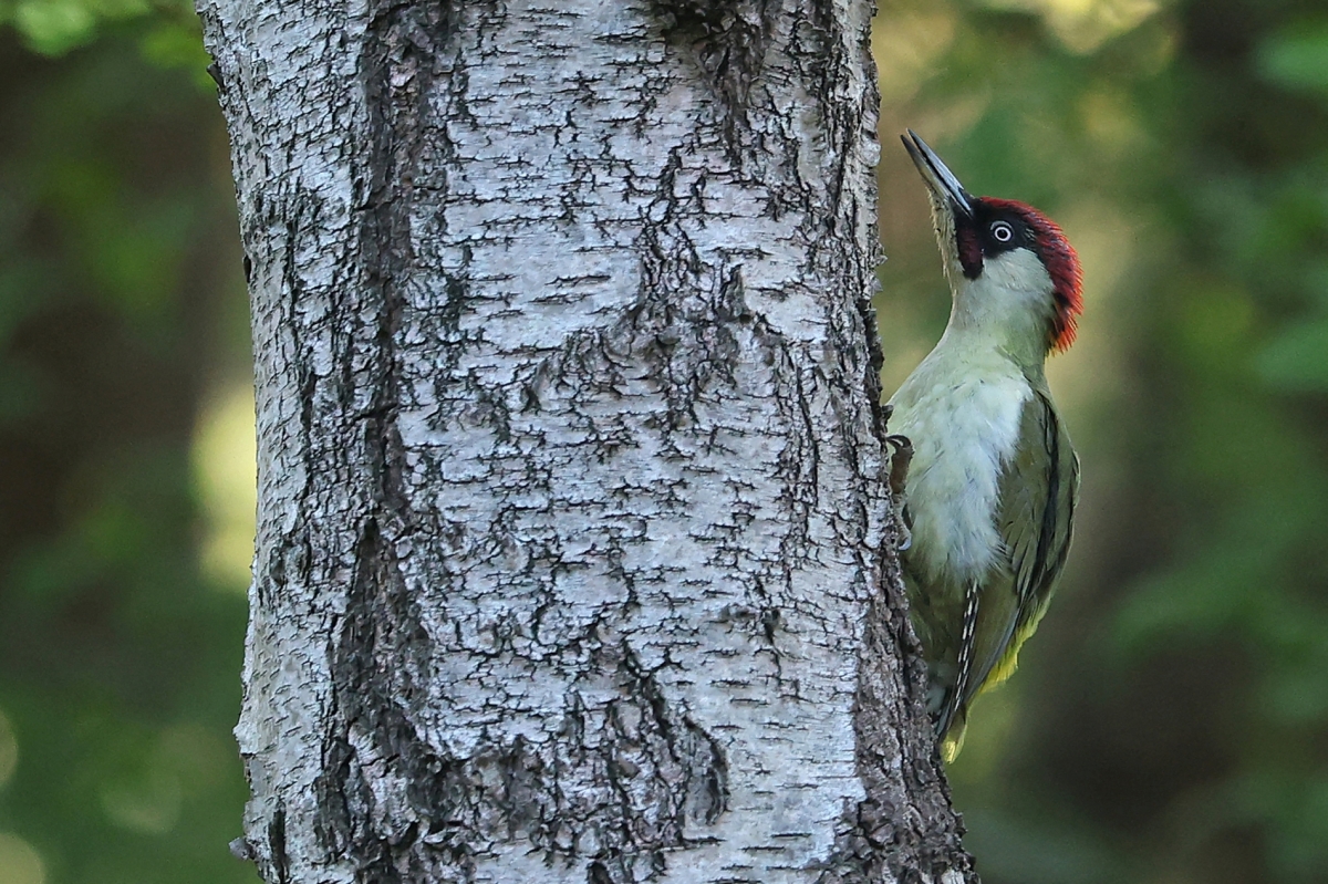 توبي ميلفيل- رويترز
