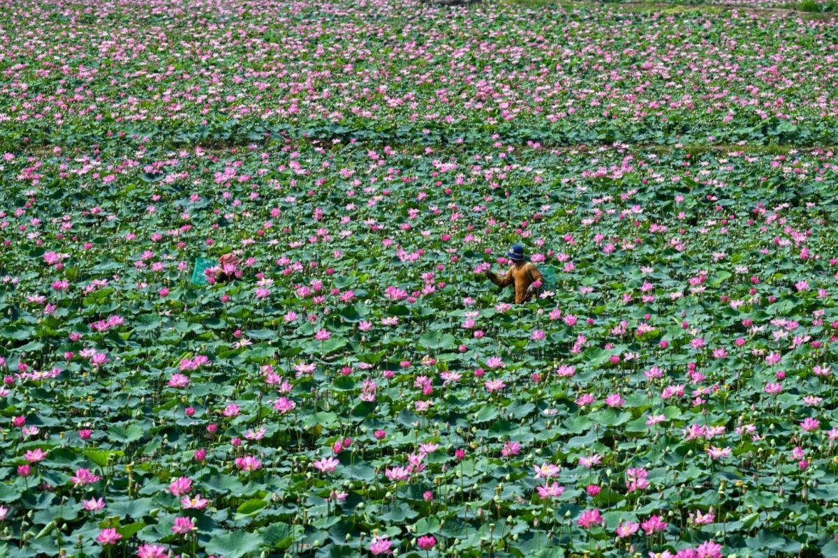 TANG CHHIN Sothy / AFP