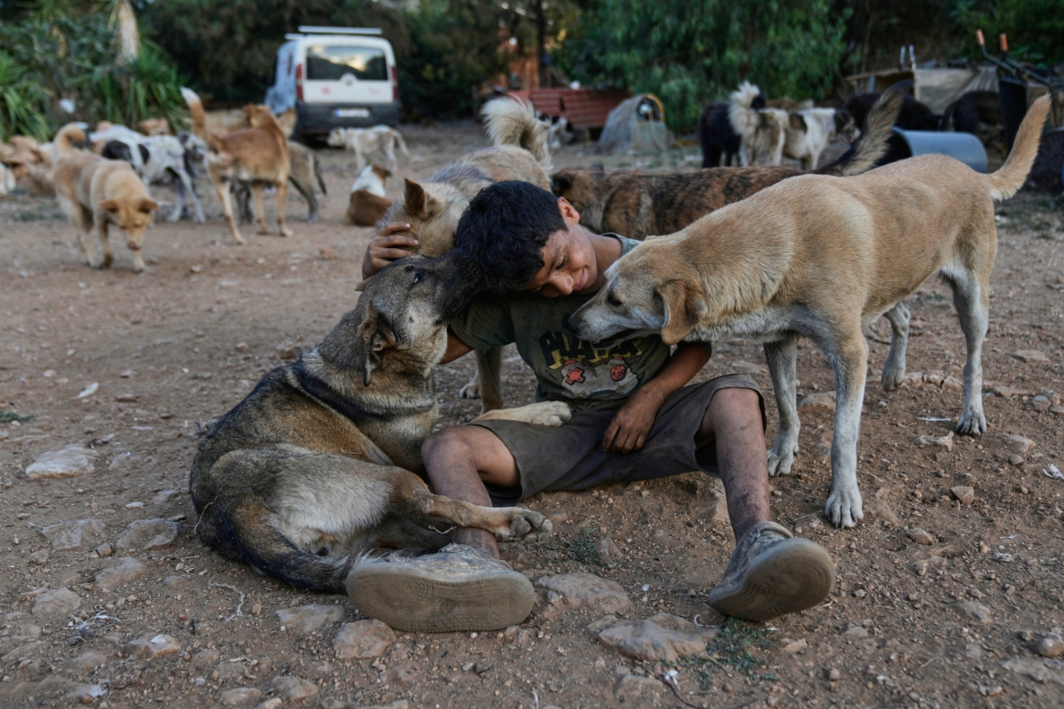 AP Photo/Bilal Hussein