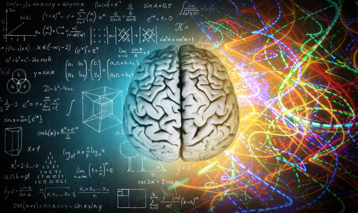 Memory aims to improve decision-making by retaining what is significant while discarding the rest. 