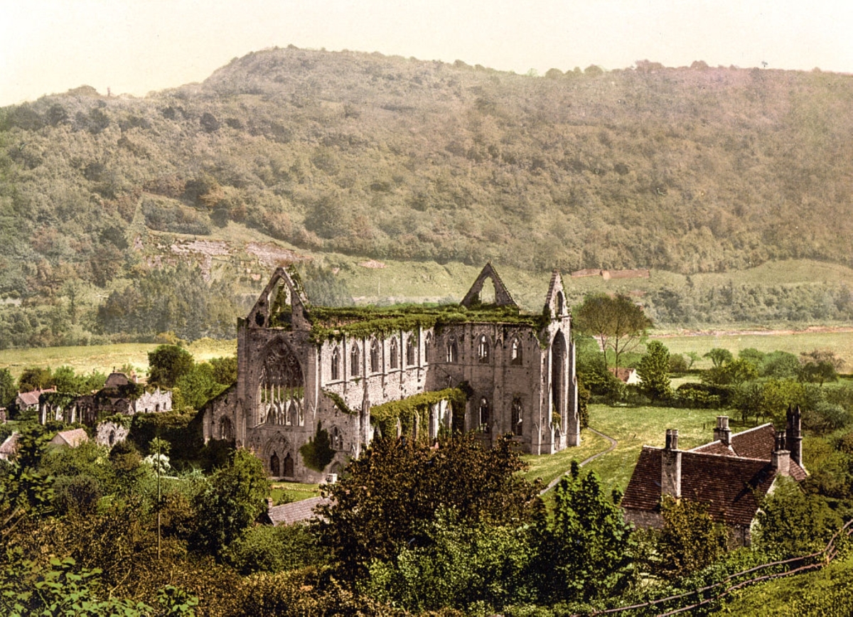  Bildagentur-online/Universal Images Group via Getty Images