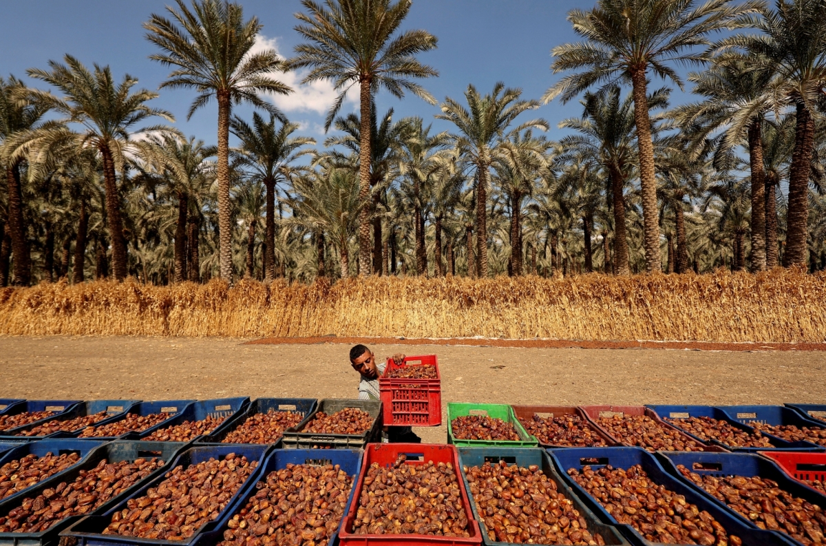 محمد عبد الغني- رويترز