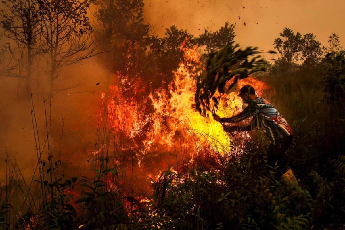 REINA / AFP