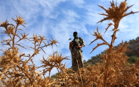 العراق بين انسحابين... الأميركي والتركي