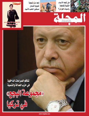 «مجموعة البجع» في تركيا