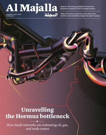 Unravelling the Hormuz bottleneck